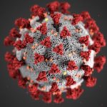 Image: This illustration, created at the Centers for Disease Control and Prevention (CDC), shows the microscopic virus with red protruding points around the nucleus of the virus.